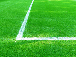 Obraz premium Lawn