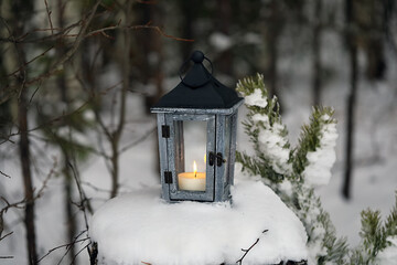 Lantern with a candle hanging on a tree in the winter forest.