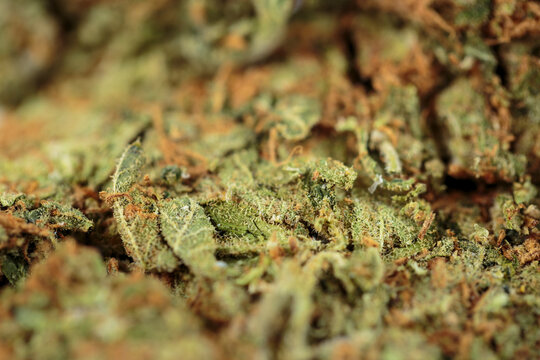 Horizontal macro full frame of compressed cannabis or marijuana, as sold to consumer for medical or recreational purposes. Shallow depth of field, space for text
