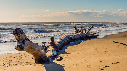Dzika plaza i piękny poranek to idealny duet zachęcający do wyjścia z domu. © Piotr