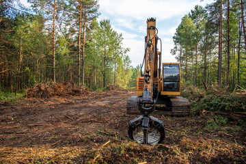 Excavator Grapple during clearing forest for new development. Tracked Backhoe with forest clamp for forestry work. Tracked timber Crane and Hydraulic Grab log Loader. © MaxSafaniuk