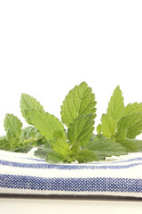 lemon balm perfect as spice in every kitchen