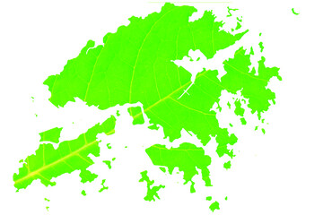 Map of Hong Kong in green leaf texture on a white isolated background. Ecology, climate concept, Vector illustration.