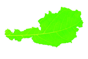 Map of Austria in green leaf texture on a white isolated background. Ecology, climate concept. Vector illustration.