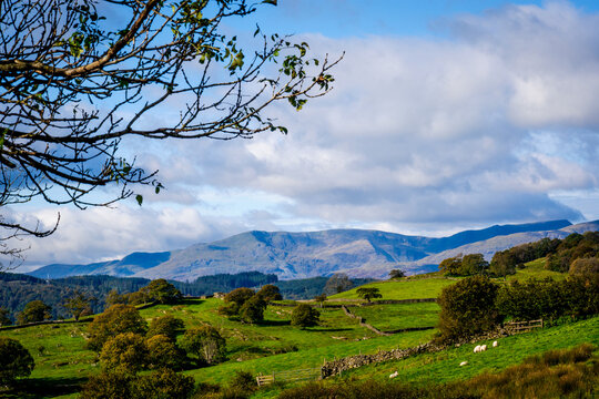 View across open farmland near Ings in the Lake Distict UK