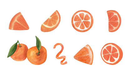 Set of hand drawn watercolor tangerine, orange and slice for New Year and Xmas greeting cards, posters, stickers and seasonal design. Isolated on white background. Cute watercolor illustration.