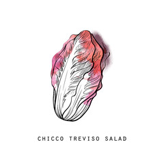 Vector set of hand drawn fruits and vegetables sketch illustration.