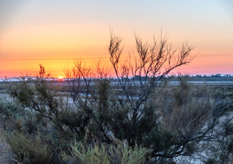 Coucher de soleil en Camargue