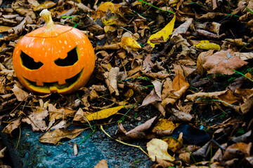 
There is a pumpkin in the upper left corner. halloween holiday.
