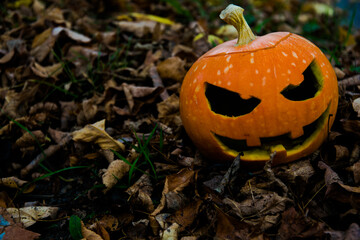 Orange pumpkin for Halloween on a blurred forest background.