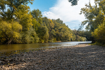 The Ni&scaron;ava river and forest in early autumn