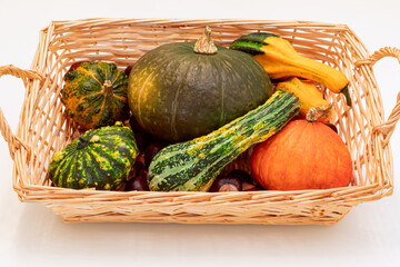 Wicker basket with various pumpkins and chestnuts. Autumn harvest