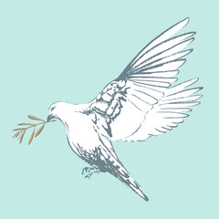 Flying dove with olive branch. Peace concept.