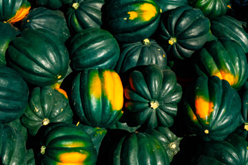 Bunch of acorn squash fresh picked and for sale at a farmer's market near Battle Creek, Michigan, USA in late September. - Powered by Adobe