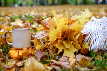 Ceramic Cup on autumn leaves and white wool scarf