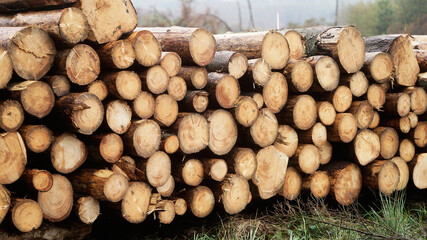 stack of wood radevormwald germany