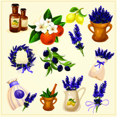 Provanse style decorative elements set