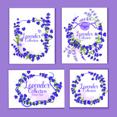 Lavender set of cards