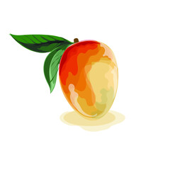 Mango fruit isolated on the white
