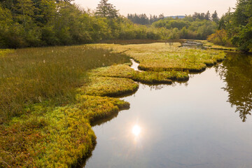 Pacific Northwest Island Slough and Wetland. A wetland is a distinct ecosystem that is flooded by water, either permanently or seasonally by either salt, fresh or somewhere in between.  © LoweStock