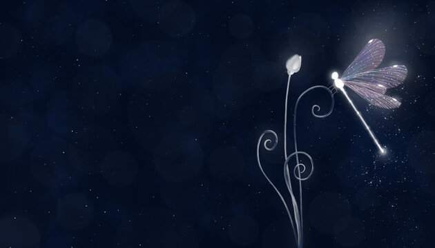 Fondo abstracto con efecto nocturno m&aacute;s lib&eacute;lula y flor