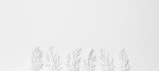 Fashion still life winter scene. White painted trees. Minimal stylish snow winter cold design