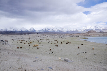 View of the karakoram mountain range from the Karakul lake, Xinjiang Province, China