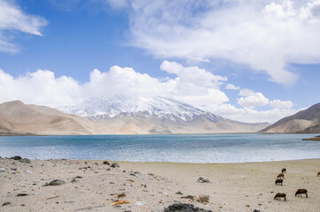View of the karakoram mountain range from the Karakul lake, Xinjiang Province, China