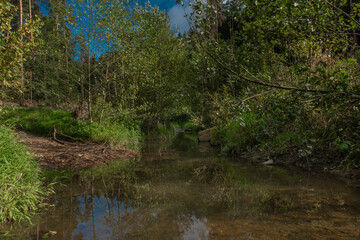 Fototapeta na wymiar Zborovsky creek flowing to influence with Malse river in autumn day