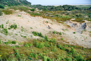 Norderney, Ostfriesische Inseln für Urlaub und Freizeit