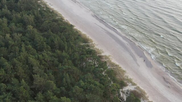 Following person with a drone on a beautiful sand beach with pine forest and baltic sea.