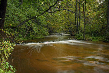 Szumy nad Tanwią