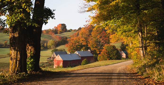 Fall landscape, Jenne Farm, Vermont USA