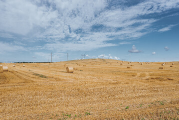 mown haystacks on a field on a sunny day/haystacks on the field. Beautiful landscape