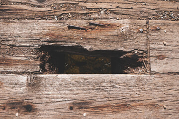  wooden texture. Abstract wood background Copy-space.