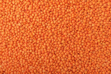 Lentil groats close-up. Lentils as an abstract background.