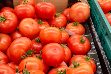 vegetables, tomato in a supermarket close-up. choosing fresh tomato