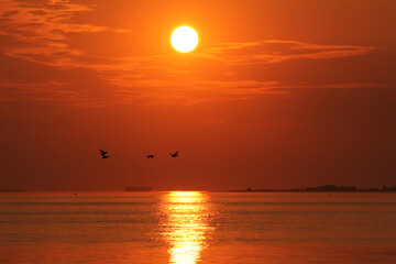 beautiful sunset at sea at a hot summer evening at the westerschelde sea in zeeland, the...