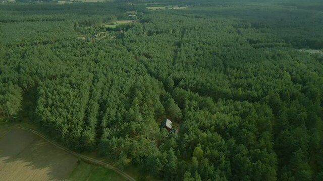 Slow Aerial fly over a dense green leafy deciduous forest of Kowalskie Blota village, district of Gmina Cekcyn, Kuyavian-Pomeranian Voivodeship, in north-central Poland, forward motion, drone shot
