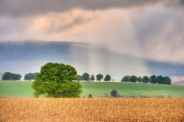Fototapeta premium SHAFTS OF SUNLIGHT break through thick morning cloud to illuminate farmlands in the Drakensberg foothills, Himeville, Kwazulu Natal, South Africa