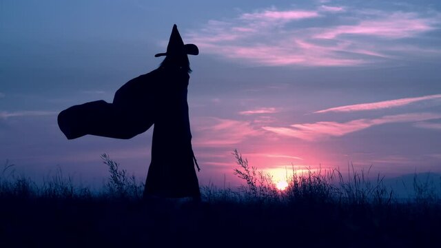 sorceress in cloak and hat holding magic wand walks in a field on the background a blue sky with clouds