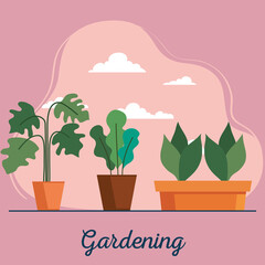 Gardening plants insde pots and clouds design, garden planting and nature theme Vector illustration