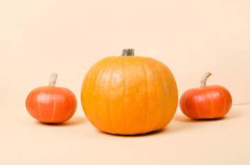 Three halloween orange pumpkins on bright yellow background