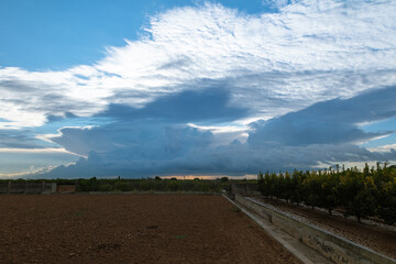 Rural landscape