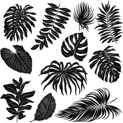 palm leaves set black and white