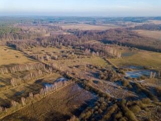 Early spring drone landscape. European forest and fields.