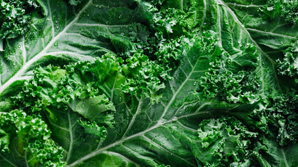 Top view of fresh curly kale salad, food background, macro photography - Powered by Adobe