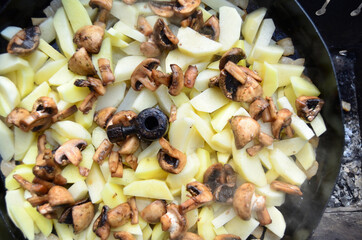 Picnic. Fried potatoes with mushrooms on a disc.  Food background.