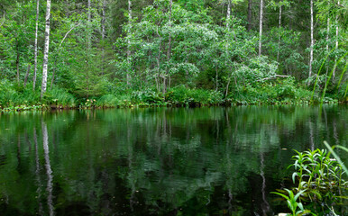 Pond in Ruskeala waterfalls, Karelia, Russia