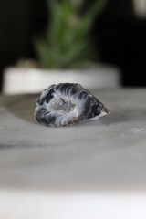 Plants and crystals